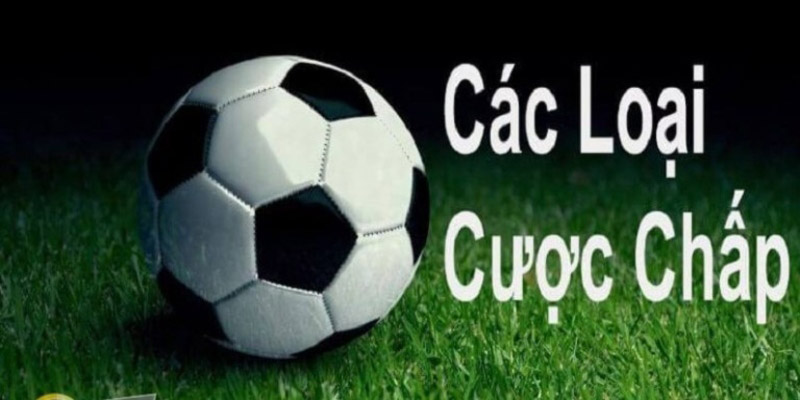 Kèo châu Âu là gì? – Cách đọc kèo cực chuẩn mới nhất 2024 Các loại cược chấp kèo cược châu Âu