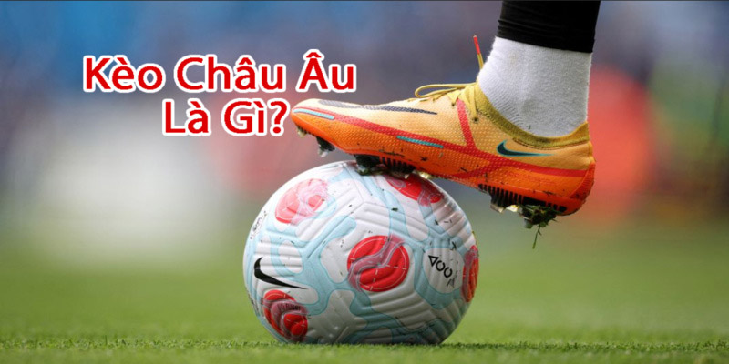 Kèo châu Âu là gì? – Cách đọc kèo cực chuẩn mới nhất 2024 kèo châu âu