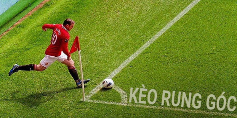 Kèo rung là gì? Một số mẹo hay khi tham gia đặt cược mới 2024 Một số kèo chơi rung cơ bản trong bóng đá