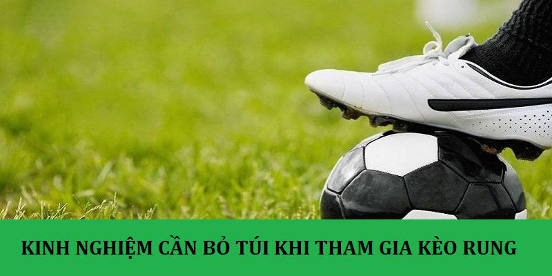 Kèo rung là gì? Một số mẹo hay khi tham gia đặt cược mới 2024 Một số mẹo cơ bản để chơi rung dễ thắng