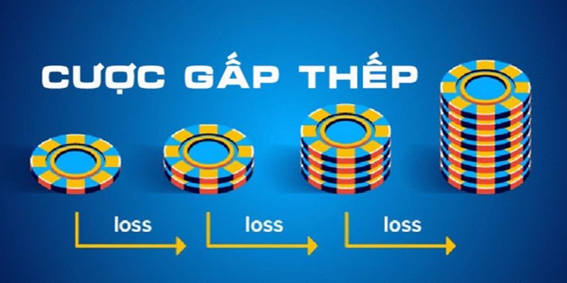 Cược gấp thếp và tất cả những điều cược thủ cần phải biết Cược gấp thếp