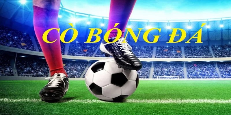 Cò bóng đá là gì? Tất tần tật thông tin mà bạn cần biết Làm cò trong bóng đá mang đến lợi nhuận lớn