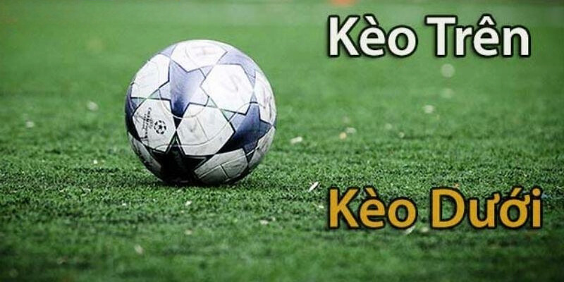 Cách chinh phục kèo trên dưới dễ dàng với 99.9% tỷ lệ thắng Những lưu ý khi chọn kèo trên dưới