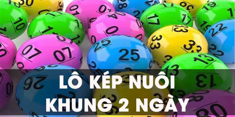 Lô Kép Nuôi Khung 2 Ngày: Bí Kíp Dành Cho Người Mới Lô kép nuôi khung 2 ngày theo đầu và đít câm