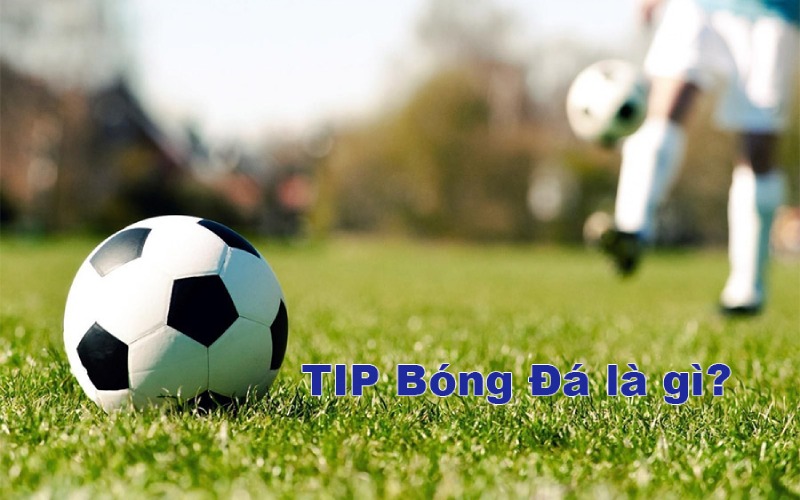 Tip Bóng Đá Là Gì? Bí Kíp Tham Gia Cược Thể Thao Hiệu Quả Tìm hiểu tổng quan về tip bóng đá