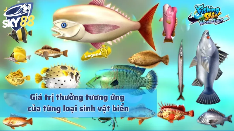 All Star Fishing - Hóa Thân Thành Ngư Thủ Dưới Lòng Đại Dương Giá trị tiền thưởng hậu hĩnh trong All Star Fishing