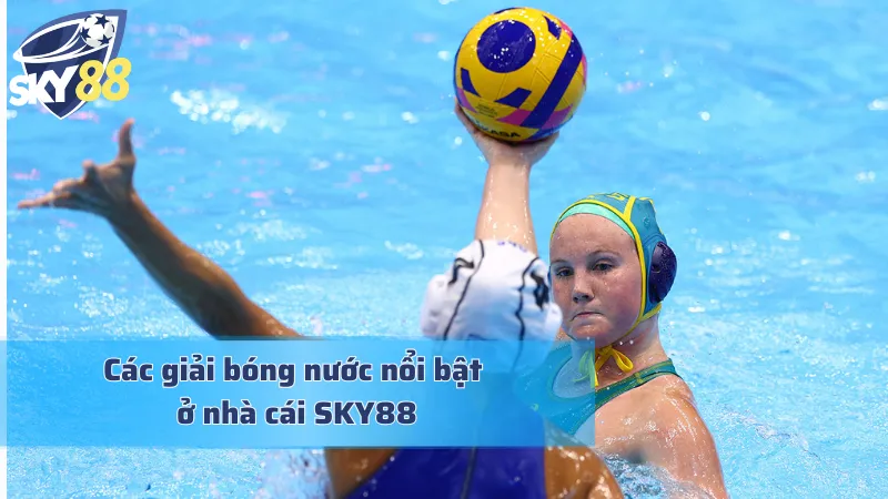 Cá Cược Bóng Nước: Cơ Hội Bet Kèo Kích Thích Và Tiềm Năng Tổng hợp những giải đấu bóng nước mà cược thủ không thể bỏ qua