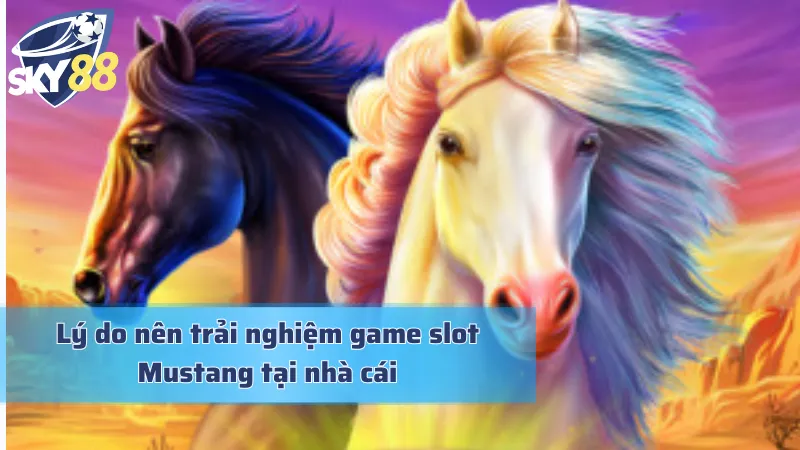 Mustang Gold - Dấn Thân Vào Cuộc Phiêu Lưu Miền Tây Hoang Dã Tìm hiểu lý do tại sao tựa game trở nên phổ biến