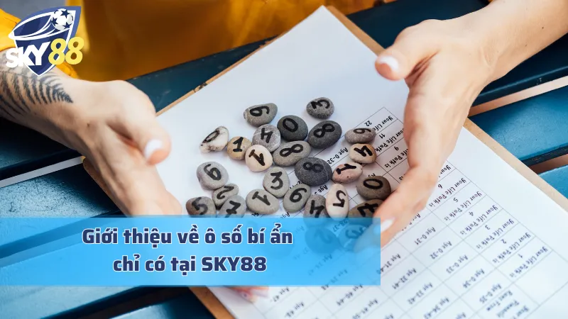 Bật Mí Những Thông Tin Thú Vị Về Ô Số Bí Ẩn Năm 2025 Giới thiệu về ô số bí ẩn