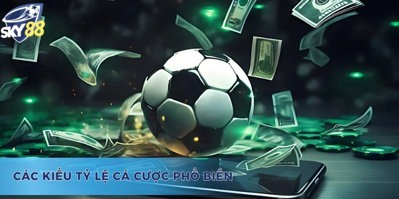 Odds Là Gì? Những Điều Cần Biết Để Cá Cược Hiệu Quả Hơn Các loại hình của odds là gì?