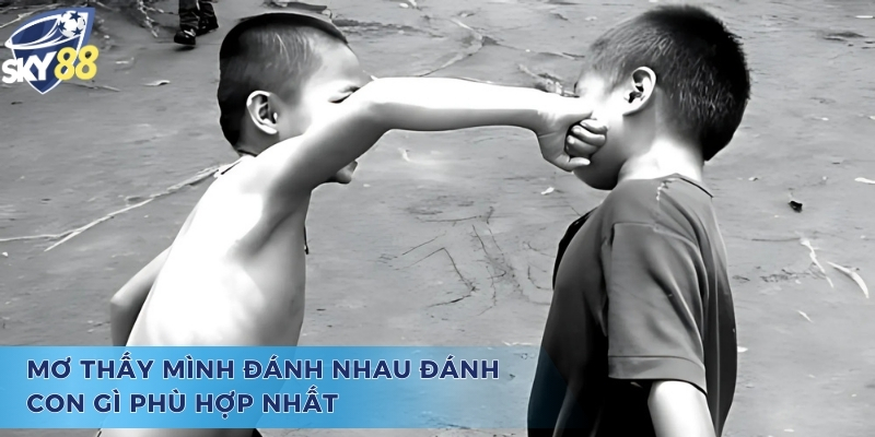Tìm Hiểu Mơ Thấy Mình Đánh Nhau Đánh Con Gì Chuẩn Nhất Giải đáp suy nghĩ mơ thấy mình đánh nhau đánh con gì