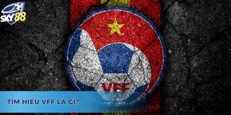 VFF Là Gì? Vai Trò Quan Trọng Đối Với Nền Bóng Đá Việt Nam Giải đáp tổ chức VFF là gì