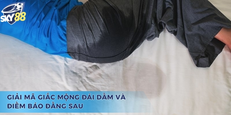 Tìm Hiểu Giấc Mộng Đái Dầm Đánh Con Gì Chuẩn Xác Nhất Giải mã chiêm bao và câu hỏi đái dầm đánh con gì