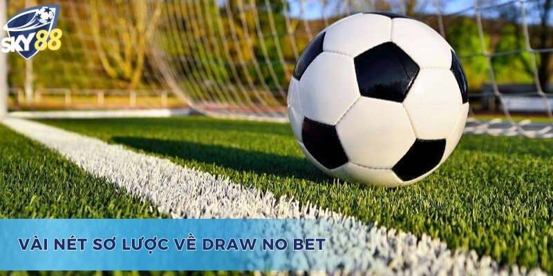 Tìm Hiểu Kèo Draw No Bet Là Gì Và Kinh Nghiệm Cược Thắng Lớn Khái quát thông tin Draw No Bet là gì