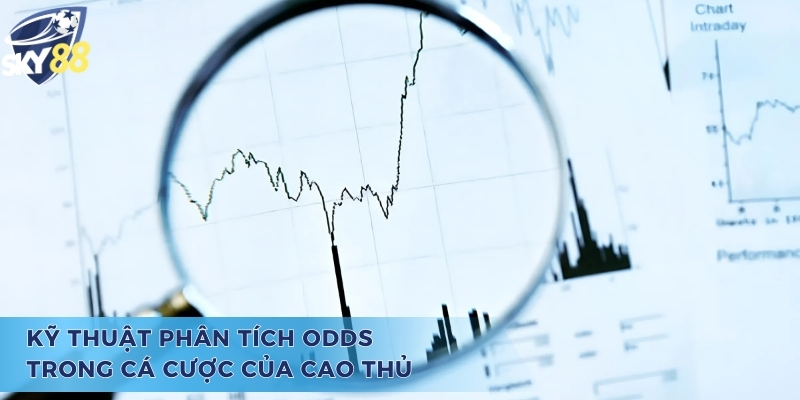 Odds Là Gì? Những Điều Cần Biết Để Cá Cược Hiệu Quả Hơn Kỹ thuật phân tích odds là gì?