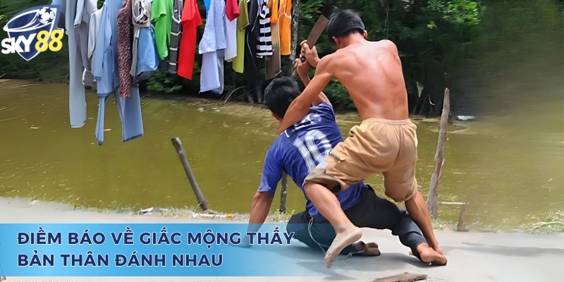 Tìm Hiểu Mơ Thấy Mình Đánh Nhau Đánh Con Gì Chuẩn Nhất Mơ thấy mình đánh nhau đánh con gì và điềm báo may rủi