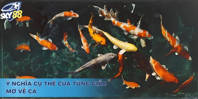 Giải Đáp Mơ Thấy Nhiều Cá Đánh Con Gì Chi Tiết Nhất Mơ thấy nhiều cá đánh con gì? - Chi tiết về điềm báo