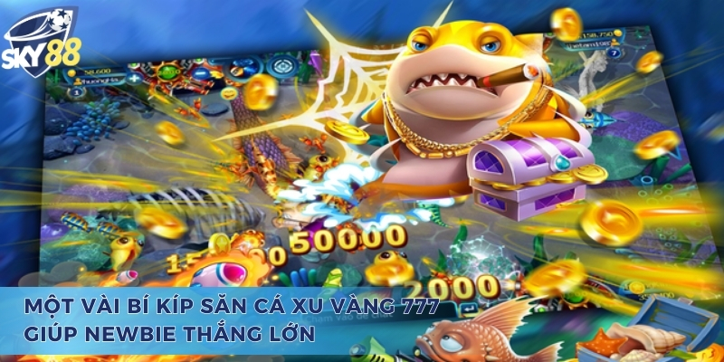 Bắn Cá Xu Vàng 777 - Thiên Đường Giúp Cho Tân Thủ Làm Giàu Một vài bí kíp bắn cá xu vàng 777 giúp newbie thắng lớn