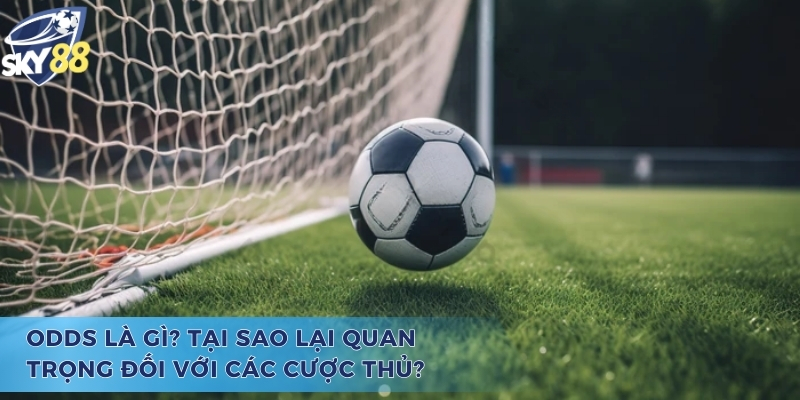 Odds Là Gì? Những Điều Cần Biết Để Cá Cược Hiệu Quả Hơn Tìm hiểu lý do khiến các cược thủ quan tâm đến odds là gì