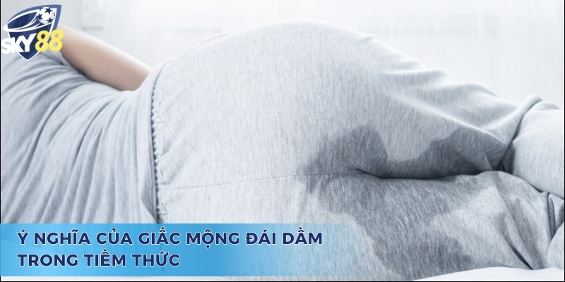 Tìm Hiểu Giấc Mộng Đái Dầm Đánh Con Gì Chuẩn Xác Nhất Ý nghĩa chiêm bao và giấc mộng đái dầm đánh con gì